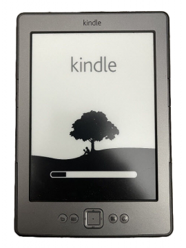 Adventures of the Dudicals Kindle eBook